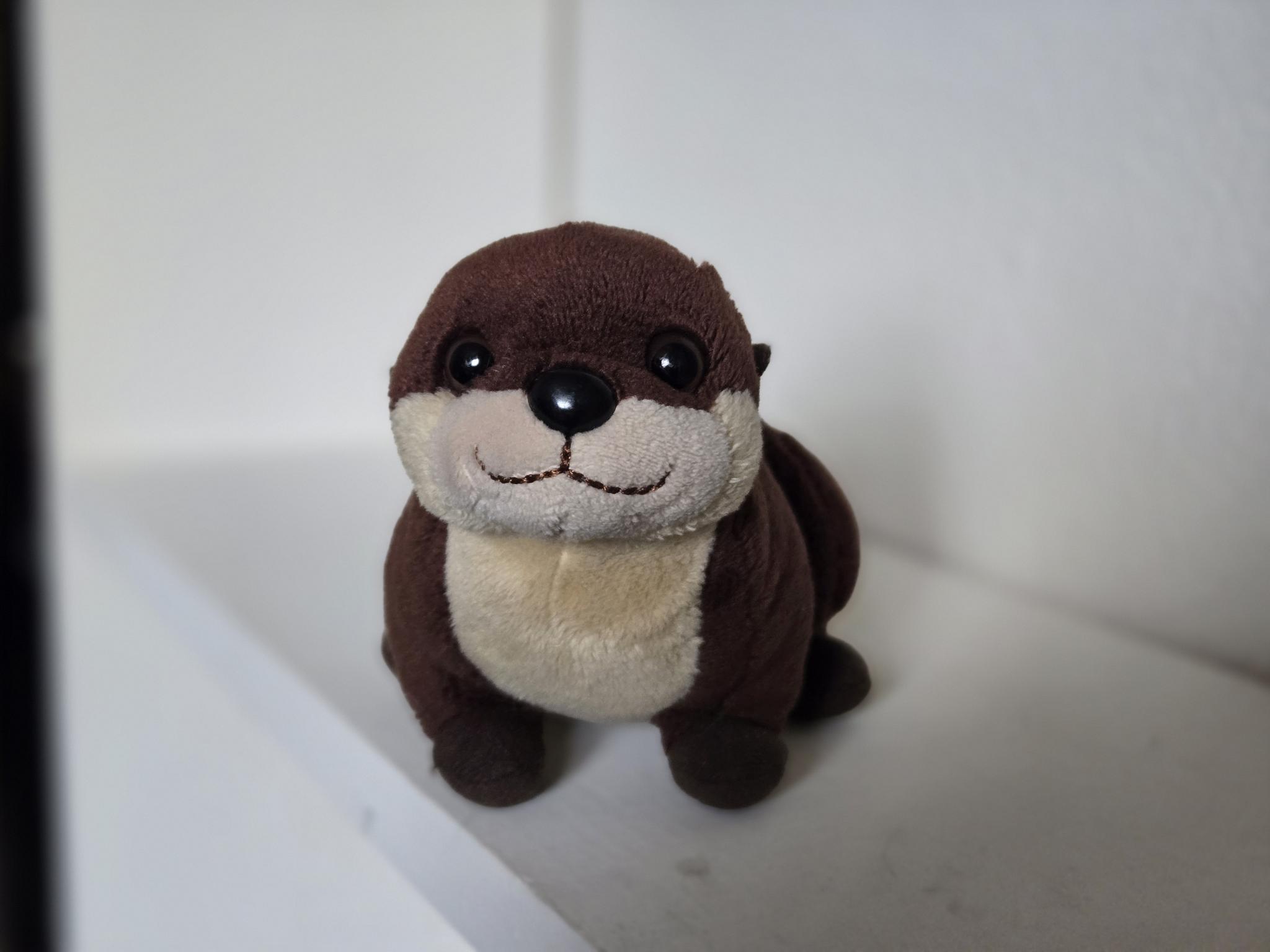 Mr. Otterton 